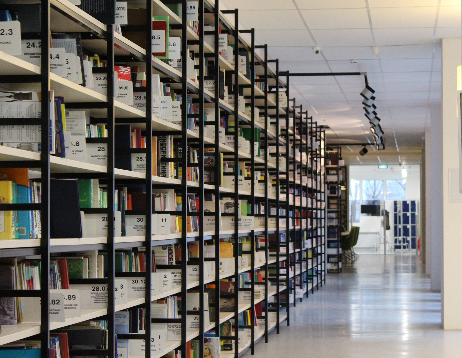 image of a library with shelves along the left-hand side filled with books