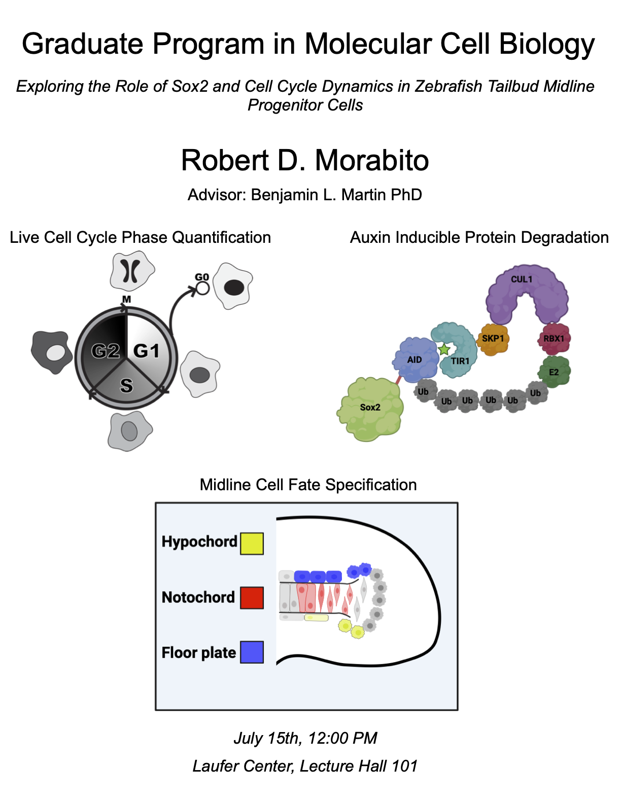 moribato thesis defense poster