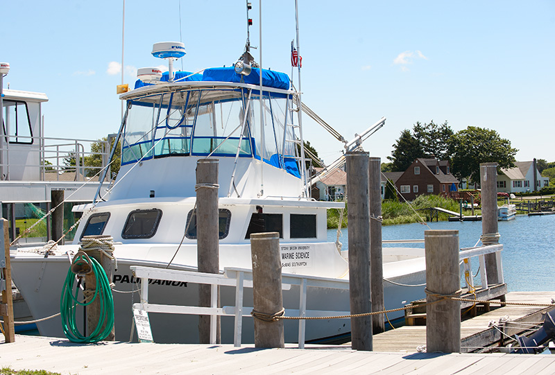 Boat in Marina