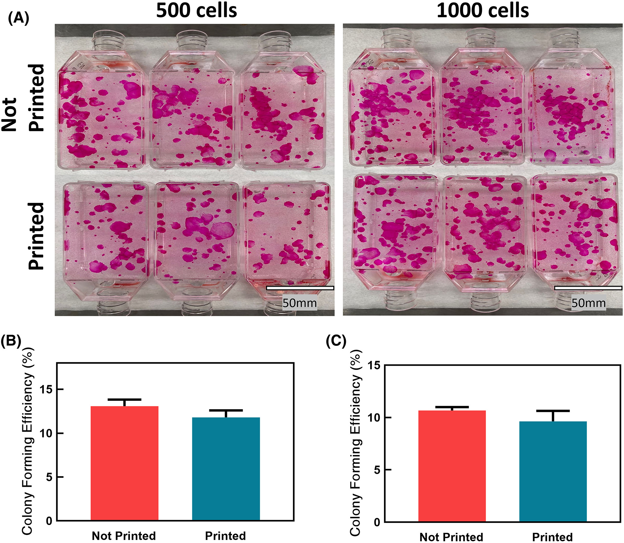 Engineering functional skin constructs: A quantitative comparison of three-dimensional bioprinting with traditional methods