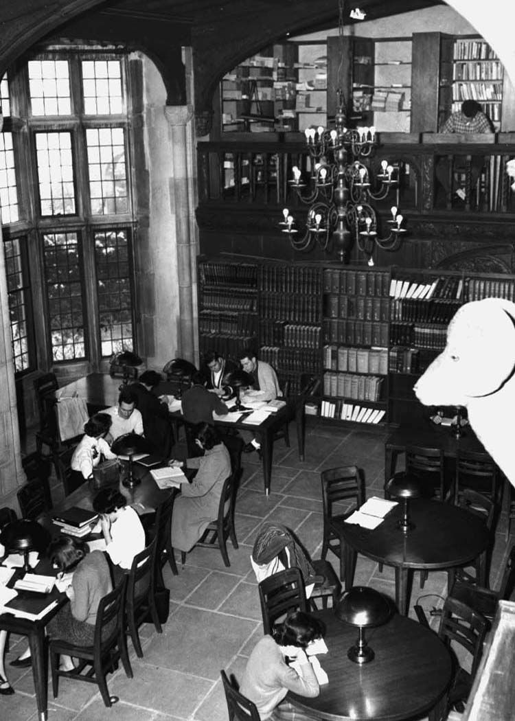 Library at Coe Hall, Oyster Bay campus