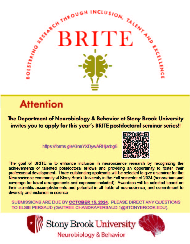 2024 BRITE application flyer