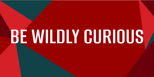 Be Wildly Curious