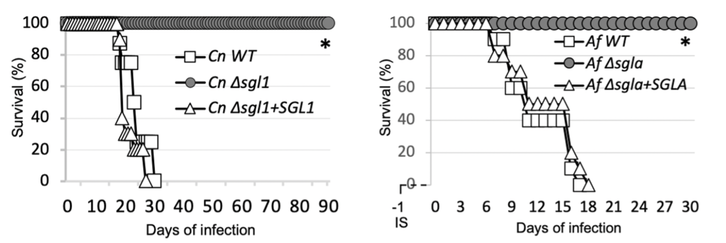 fig2