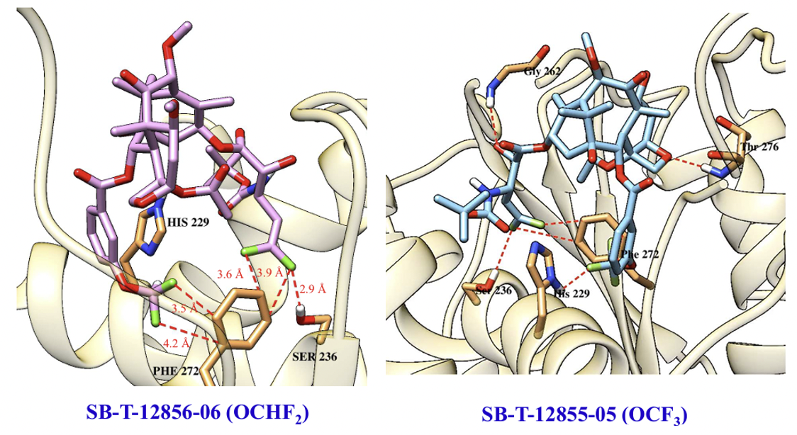 fig3_ng