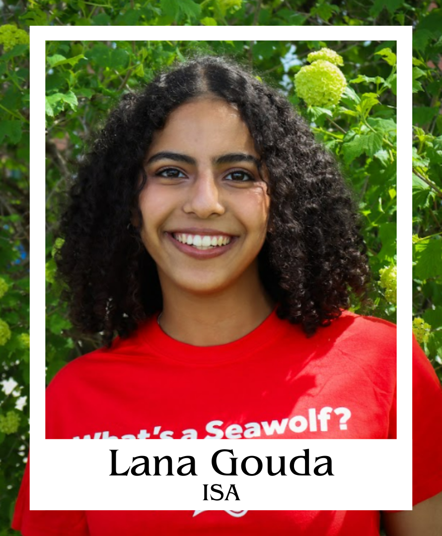 Lana Gouda