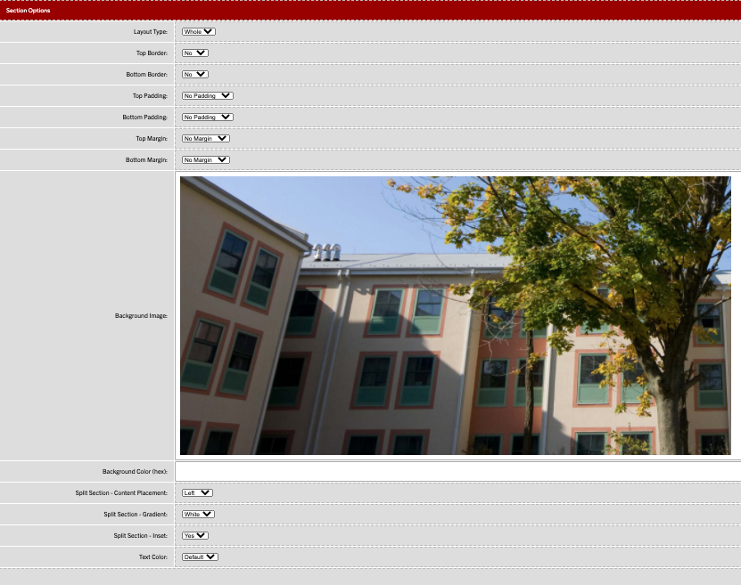 split section options