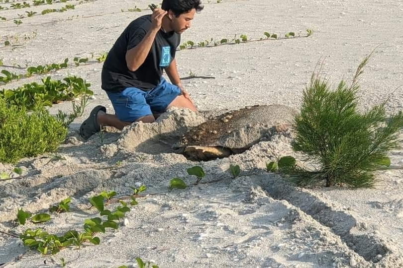 Andrew Glinsky monitoring sea turtle activity at the beach