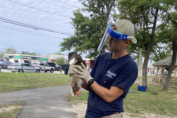 Christopher Eagler holding a duck