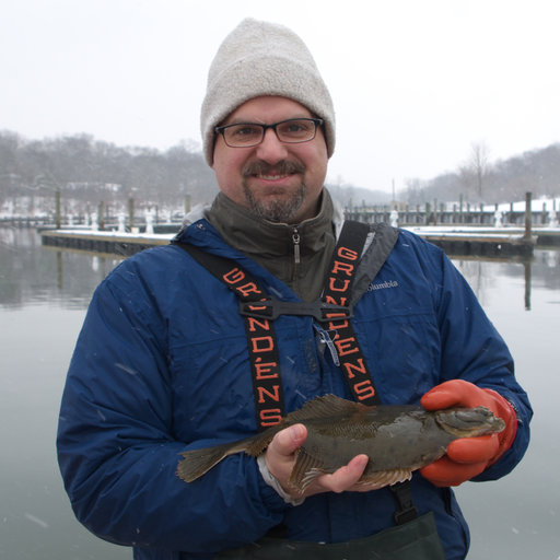 Michael Frisk, Fish ecology