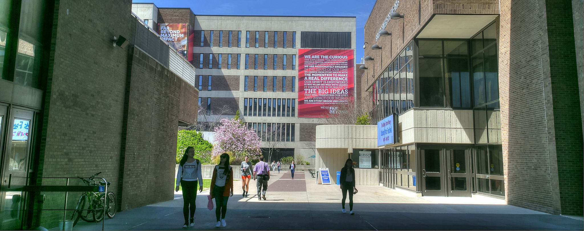 View of the library with students