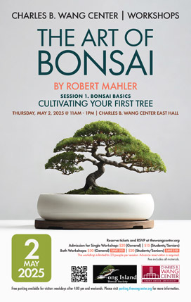 Bonsai Basics: Cultivating Your First Tree poster